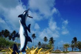 เขาพลายดำ