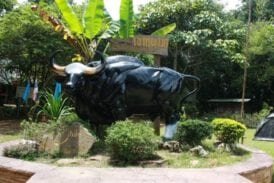 เขาแผงม้า