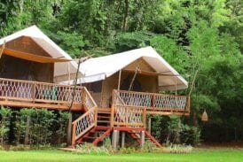 หินตกริเวอร์แคมป์