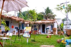 coffee-berry-สังขละ