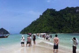 ทะเลแหวก