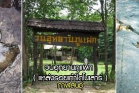 วนอุทยานภูแฝก