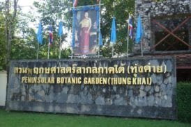 สวนพฤกษศาสตร์ทุ่งค่าย