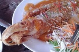 เรือนไม้ ชัยนาท