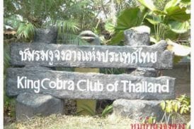 หมู่บ้านงูจงอาง