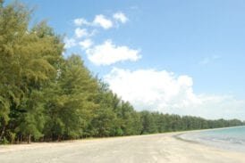 หาดหยงหลิง-หาดสั้น