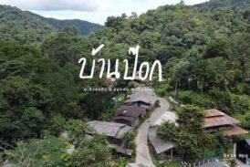 บ้านป๊อก