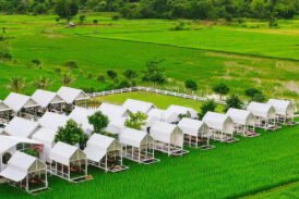 ทิวผาคาเฟ่